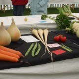 Keighley Agricultural Show