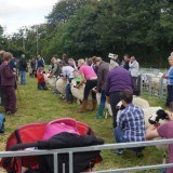 Grayrigg Show