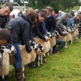 Grayrigg Show