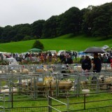 Grayrigg Show