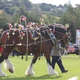 Keighley Agricultural Show