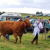 Appleby Show