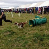 Appleby Show