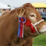 Keighley Agricultural Show