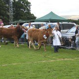 Lunesdale Show