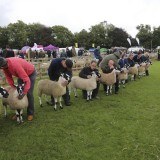 Lunesdale Show