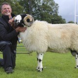 Lunesdale Show