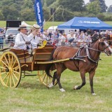 Nantwich Show