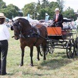 Penrith Show