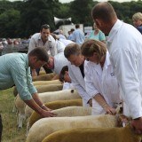 Penrith Show