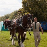 Poynton Show