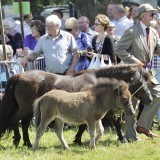 Skelton Show