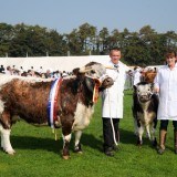 County Show